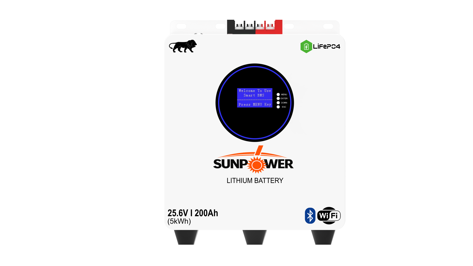 SP Smart LCD Display Series 51.2V 200Ah